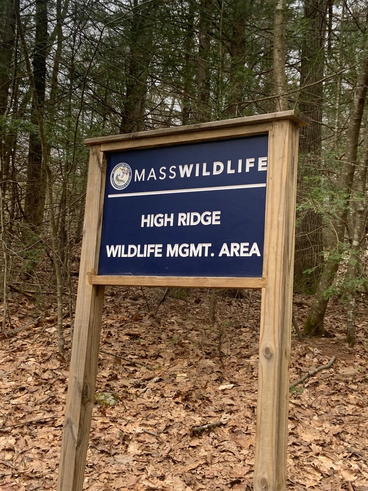 The several maintenance roads winding through the High Ridge Wildlife Management Area in Westminster make for easy and enjoyable strolls for dog-walkers.