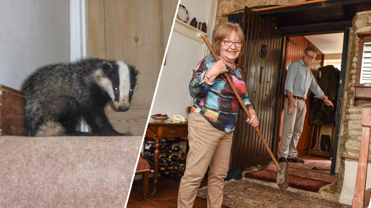 The elderly couple managed to fend off the badger. (Caters News)
