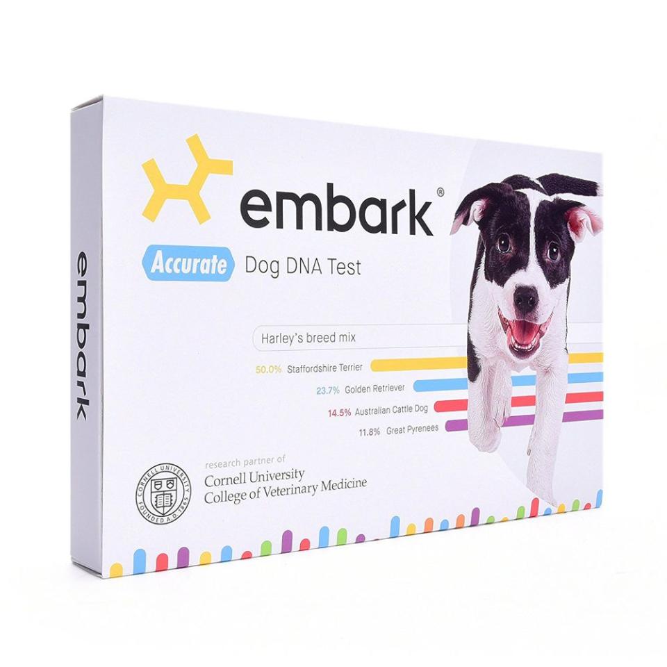 Embark Dog DNA Test