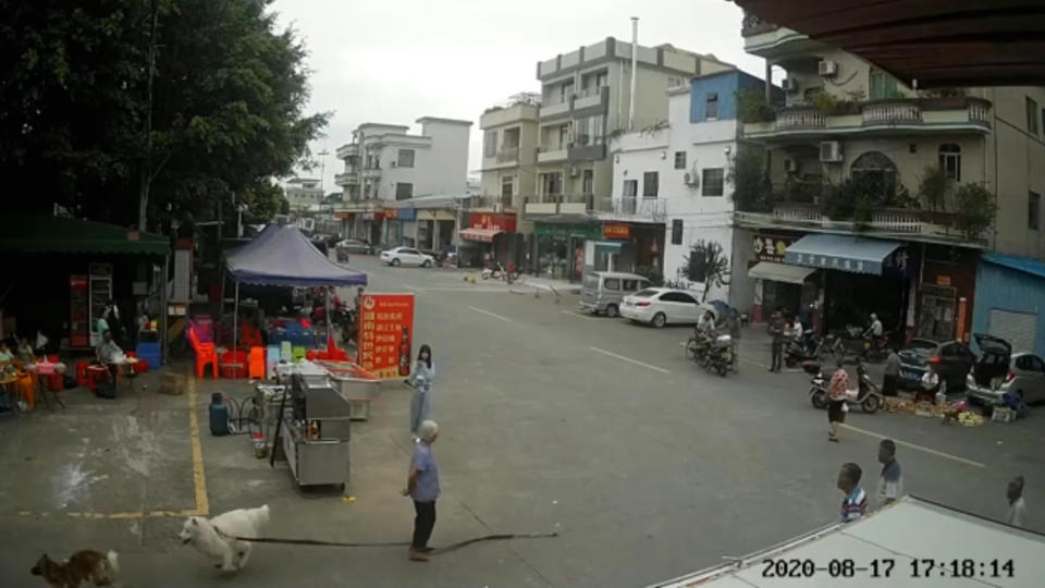 Villager Ms Mai, 88, suffers a fatal head injury when she is accidentally tripped by a dog lead in Xingtan, Foshan, Guangdong, China, on August 17.