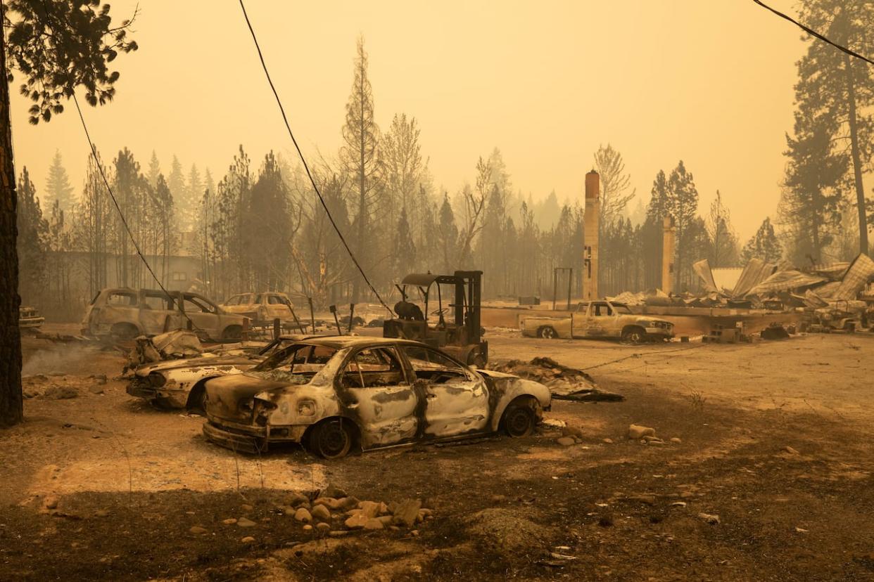 Destroyed homes and property are pictured in Scotch Creek, B.C., on Saturday, Aug. 19, 2023. (Ben Nelms/CBC - image credit)