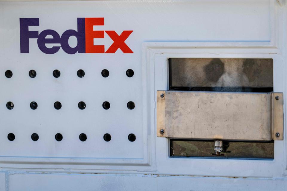 A crate carrying Giant Panda Mei Xiang (in window) is unloaded at Dulles International Airport in Dulles, Virginia, on November 8, 2023. All three of the zoo's pandas from the Smithsonian National Zoo are leaving for China, bringing at least a temporary end to a decades-old connection between the cuddly animal and the US capital. And while the pandas' departure had been expected due to contractual obligations, many can't help but see the shift as reflective of the growing strains between Beijing and Washington. (Photo by Jim WATSON / AFP) (Photo by JIM WATSON/AFP via Getty Images)