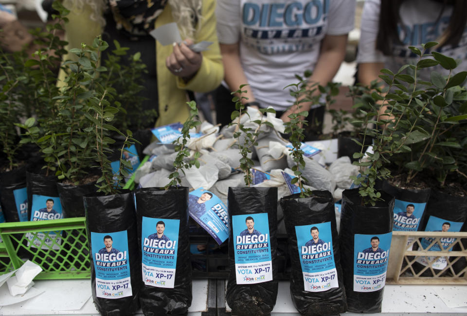 Calcomanías que promocionan al candidato a la asamblea constituyente Diego Riveaux adornan bolsas de plantas que se regalarán durante un evento de campaña en la Plaza de Armas de Santiago, Chile, el jueves 13 de mayo de 2021. Los chilenos votarán el 15 y 16 de mayo para elegir a los miembros que redactarán una nueva constitución para reemplazar a la heredada de la dictadura militar del general Augusto Pinochet. (AP Foto/Esteban Felix)