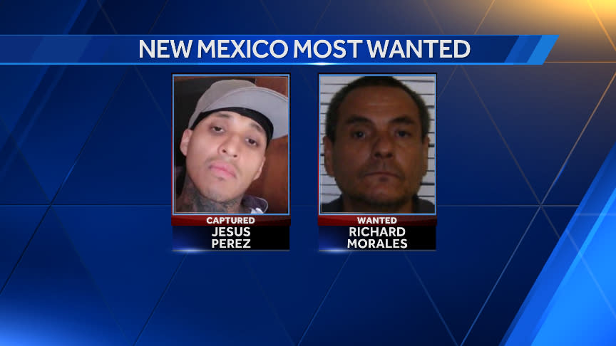 Video New Mexico S Most Wanted