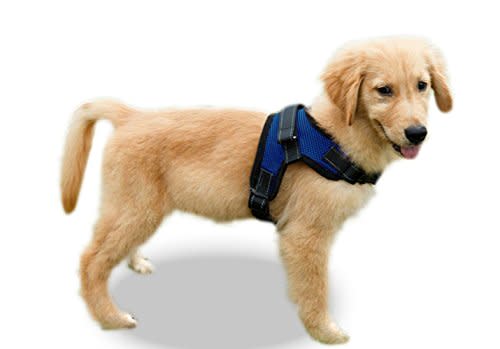 Copatchy No-Pull Reflective Dog Harness