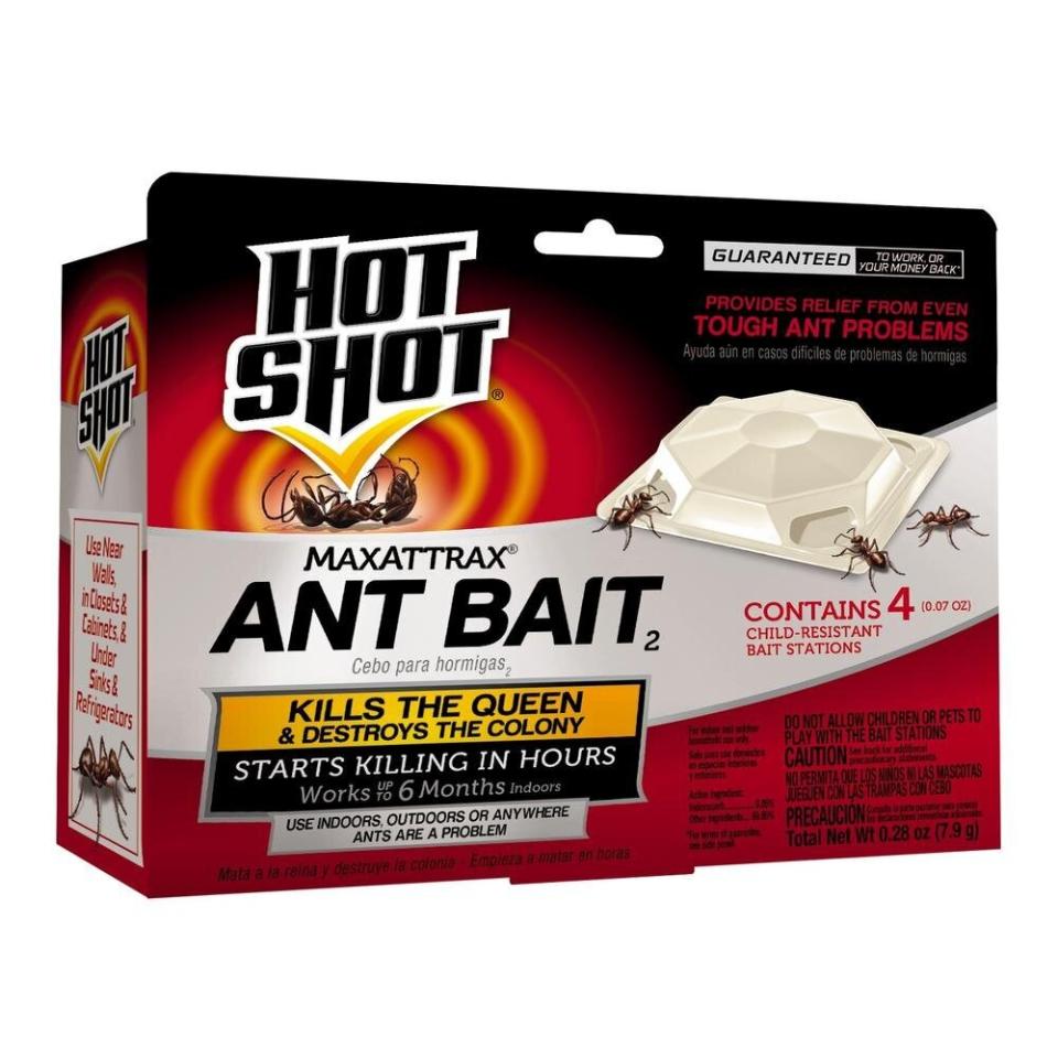 Hot Shot Ant Bait (Photo: Amazon)