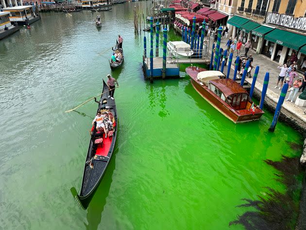 A bright patch of green is seen in the Grand Canal along an embankment lined with restaurants, in Venice, Italy. 