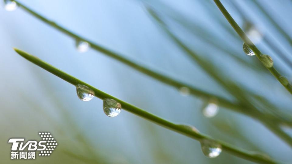 週五即將迎來節氣「白露」。（示意圖／shutterstock達志影像）