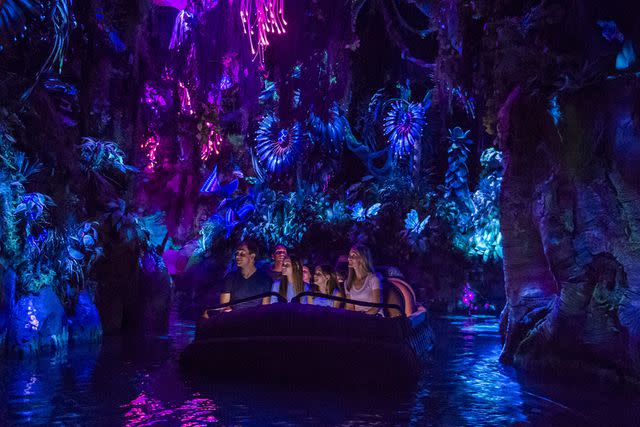 <p>Steven Diaz/Disney</p> Pandora - The World of Avatar at Walt Disney World