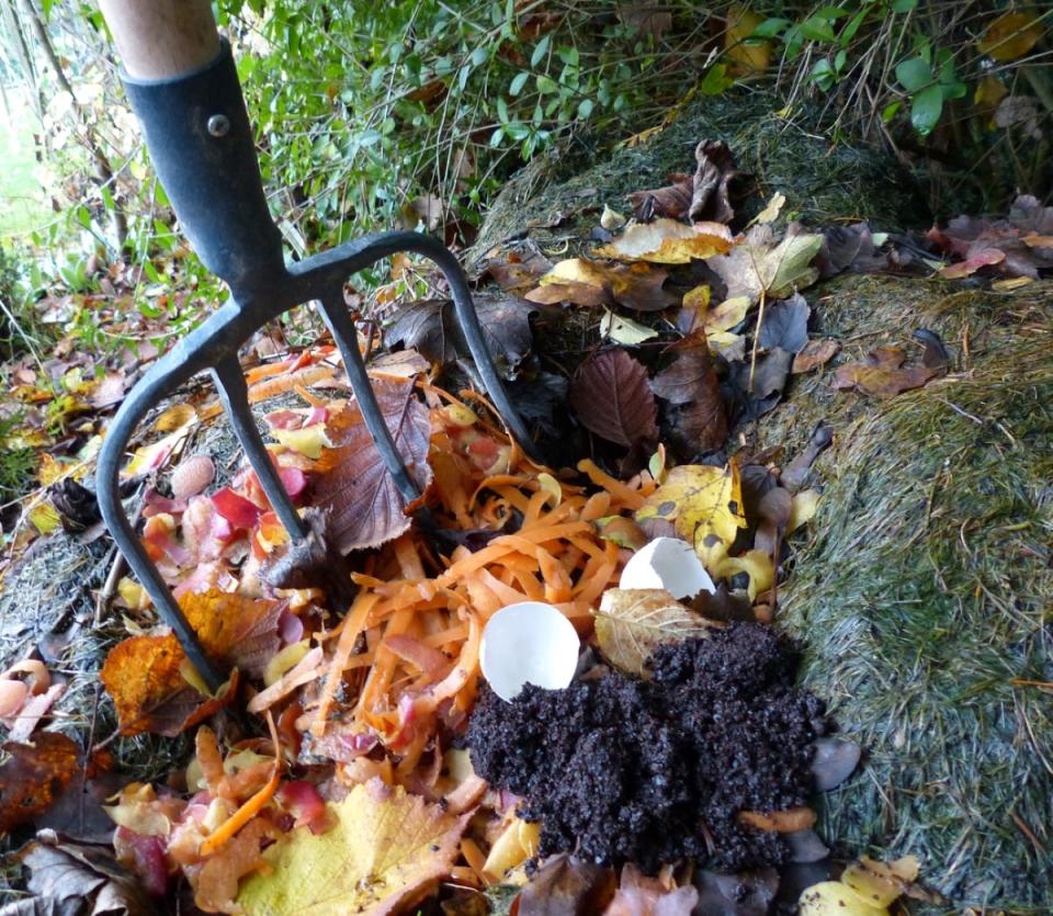Pitchfork being used to cycle compost of kitchen scraps, including carrot peels, eggshells, and coffee grounds.