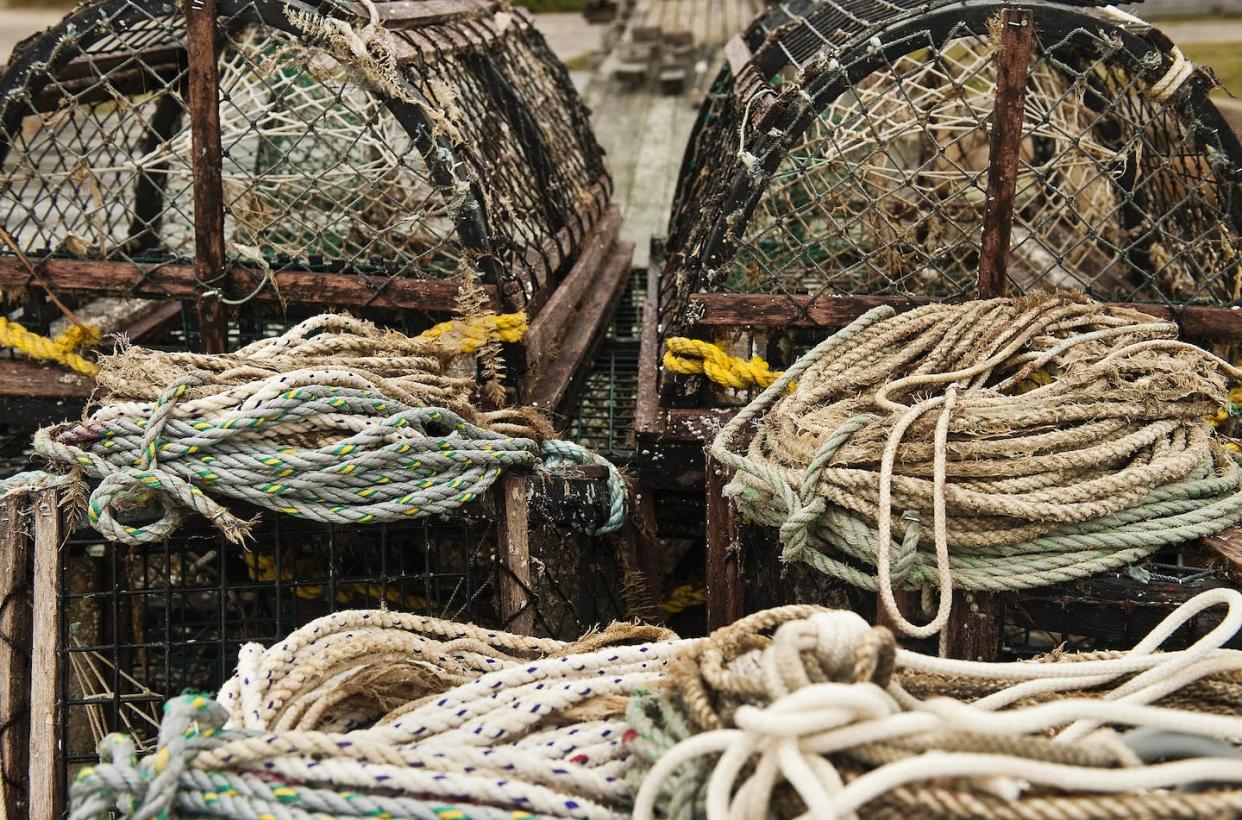Lobster fishing uses a lot of rope, and whales can die after becoming entangled in it. <a href="https://www.gettyimages.com/detail/news-photo/lobster-traps-and-ropes-on-a-dock-chatham-cape-cod-ma-news-photo/170495599" rel="nofollow noopener" target="_blank" data-ylk="slk:MyLoupe/Universal Images Group via Getty Images;elm:context_link;itc:0;sec:content-canvas" class="link ">MyLoupe/Universal Images Group via Getty Images</a>