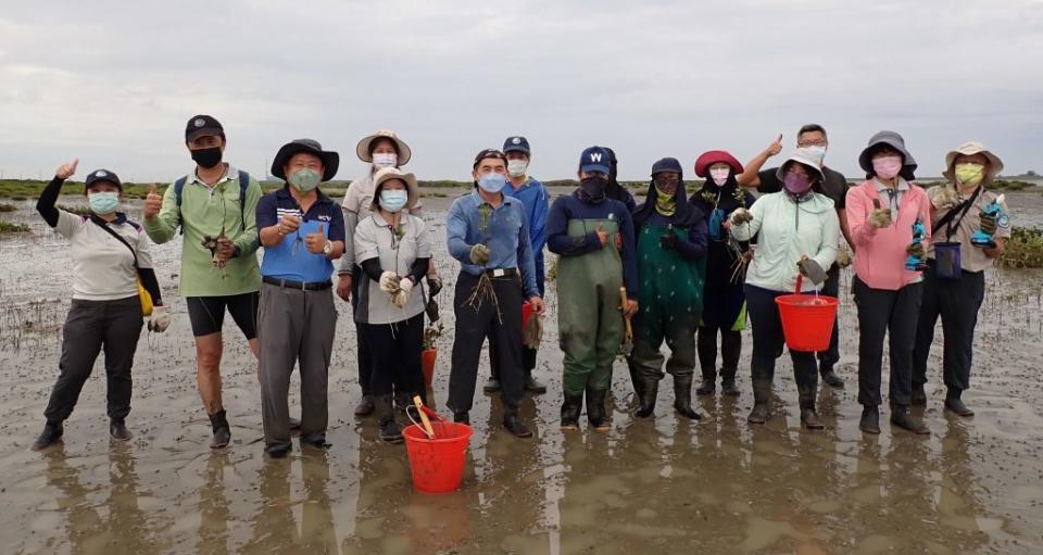 台江國家公園管理處在七股黑面琵鷺生態保護區進行海茄冬幼苗抑制實作。（台江處提供）