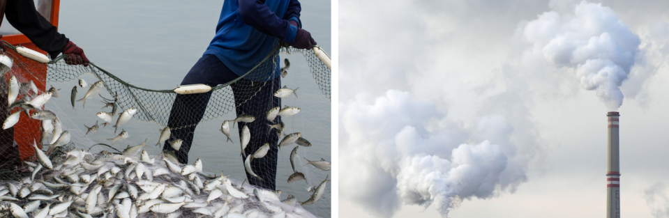 En Nouvelle-Zélande, dès 1986, des quotas de pêche nationaux sont établis afin d'éviter de mettre en péril le renouvellement du stock de poisson. Les résultats apparaissent satisfaisants même si la revente de ces quotas de pêche entre acteurs de l’industrie semble propice à la disparition des petites structures au profit de grandes. En 1990 aux États-Unis le Clean Air Act est promulgué pour lutter contre les pluies acides causées par l’émission du dioxyde de soufre. Afin de fixer un seuil à ne pas dépasser d’émission de ce gaz toxique pour la santé et les écosystèmes, les autorités divisent ce plafonnement d’émissions en quotas distribués aux acteurs de l’industrie émettrice de ce gaz : les usines produisant de l’électricité à partir de charbon. Chaque usine a ainsi son propre seuil à ne pas dépasser. <a href="https://www.shutterstock.com/fr/image-photo/on-fisherman-boatcatching-fish-513364243" rel="nofollow noopener" target="_blank" data-ylk="slk:Watchares Hansawek / Shutterstock et Petr Kratochvil;elm:context_link;itc:0;sec:content-canvas" class="link ">Watchares Hansawek / Shutterstock et Petr Kratochvil</a>