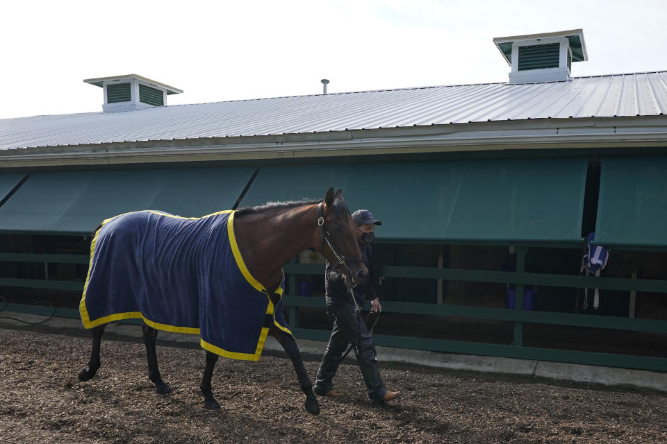 Preakness entrant Concert Tour walks with assistant trainer Jimmy Barnes after a training session ahead of the Preakness Stakes horse race at Pimlico Race Course, Wednesday, May 12, 2021, in Baltimore. (AP Photo/Julio Cortez)