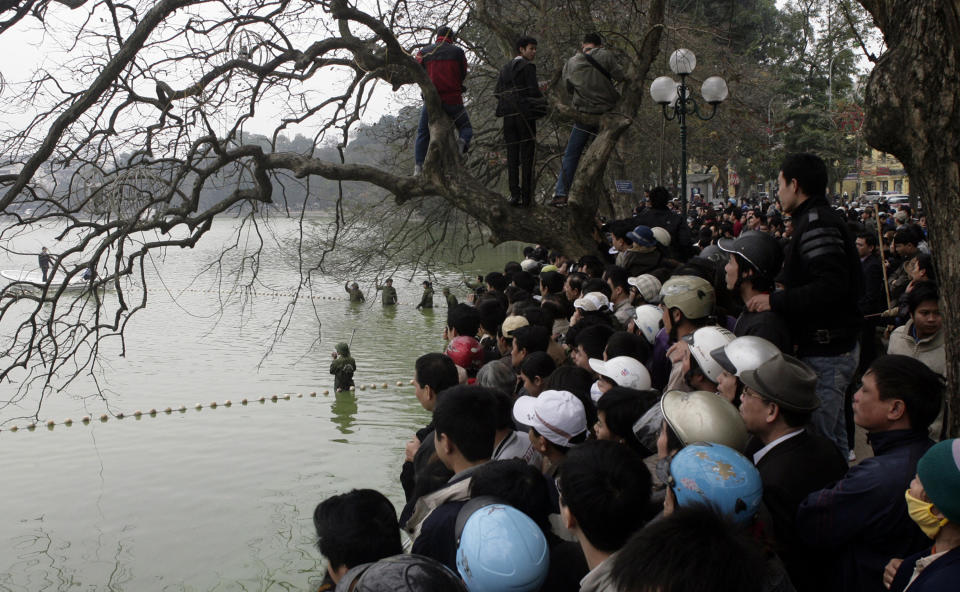 FILE - This March 8, 2011 file photo shows many people around Hoan Kiem lake in downtown in Hanoi Capital, Vietnam to see a rare turtle that is sacred to the nation. The lake is the centerpiece of central Hanoi. Its shady banks are a meeting place for young teenagers chatting on mobile phones alongside aging war veterans playing chess. Early in the morning, the lake comes alive with crowds of Vietnamese doing an array of exercises, ranging from serene tai chi to booming aerobics. Take a walk around the water and look for the famous turtle that many Vietnamese believe is sacred. (AP Photo/Tran Van Minh, file)