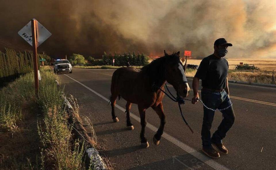 El propietario de una casa en Vernalis Road evacua a su caballo el sábado mientras el humo del Corral Fire se cierne sobre los ranchos al sur de Tracy. El incendio forestal se extendió a más de 12,000 acres quemando varias estructuras y cerrando una autopista interestatal al suroeste de Tracy. Siguen vigentes las órdenes de evacuación.