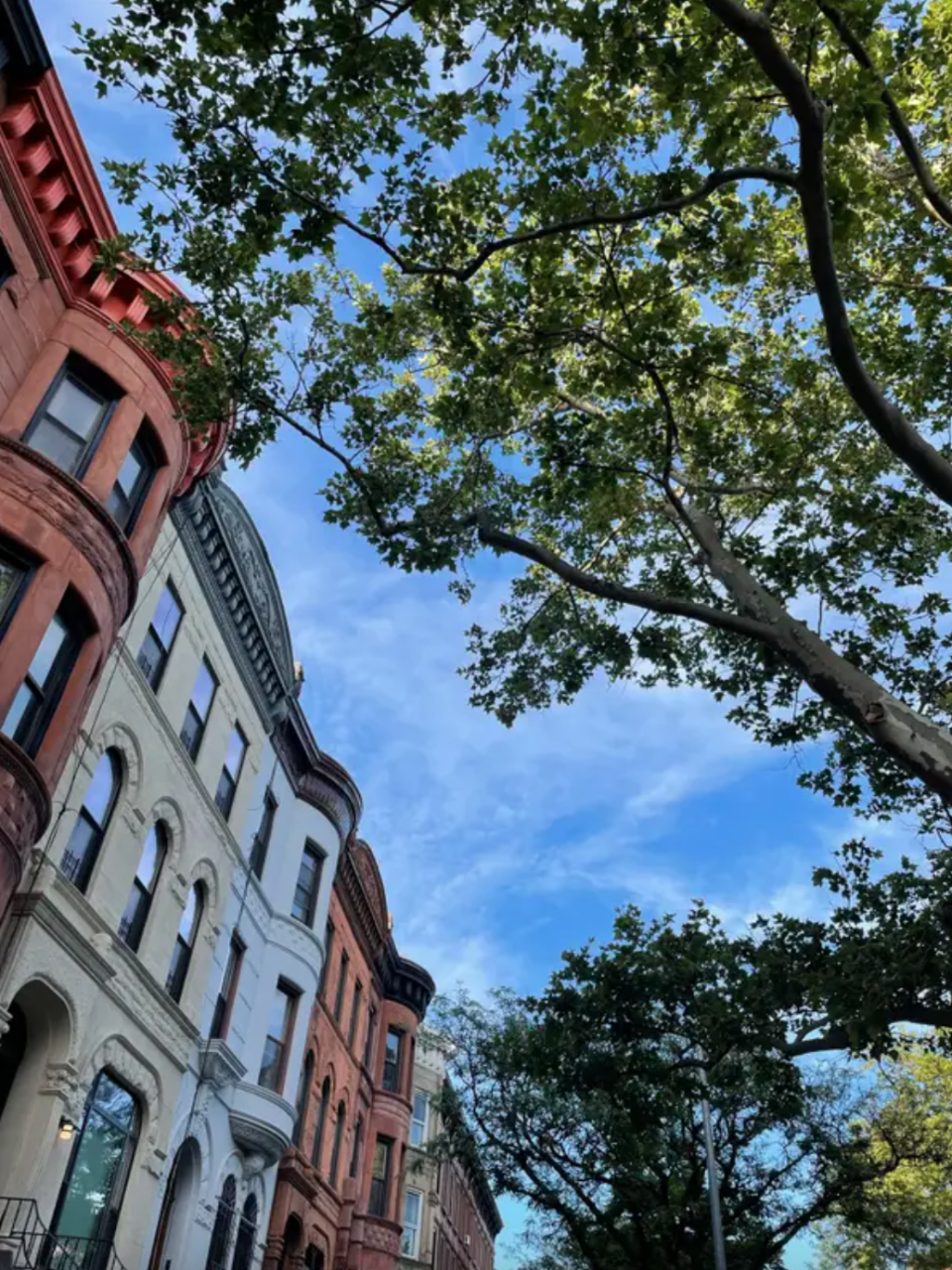 Brown genießt einen Spaziergang durch ihre Nachbarschaft in Brooklyn. - Copyright: Elisabeth Brown