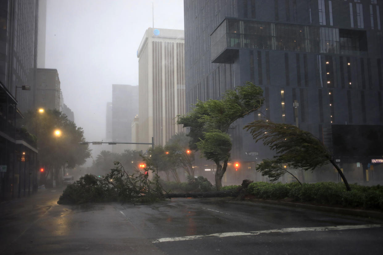 Trees and bushes bow against the wind and rain on the median strip of a road beneath large buildings.