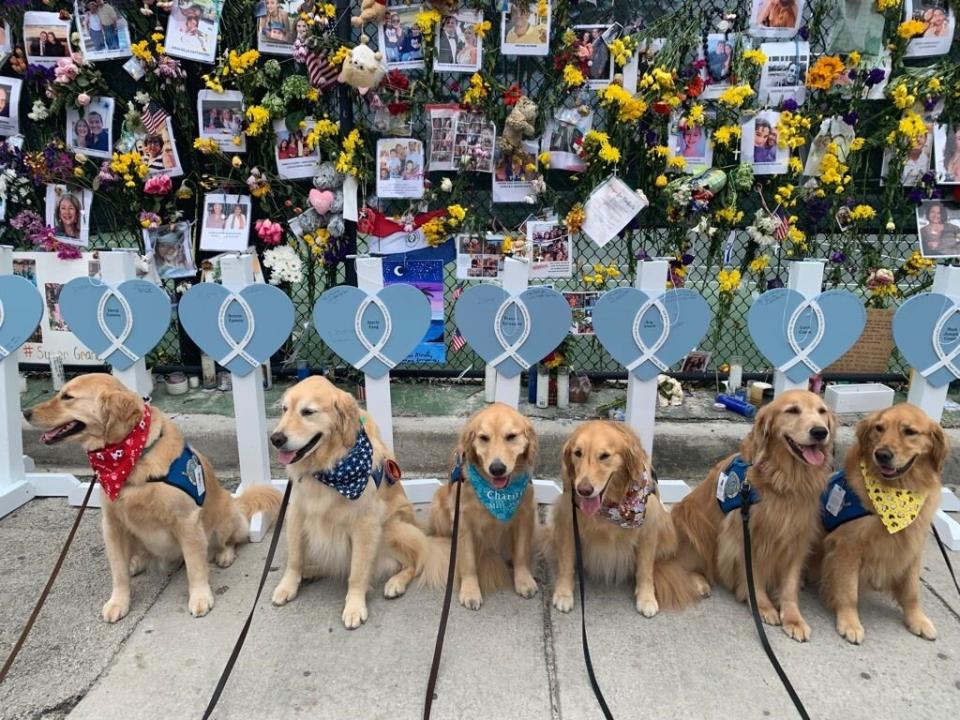 Surfside Comfort Dogs Lutheran Church Charities K-9 Comfort Dog Ministry