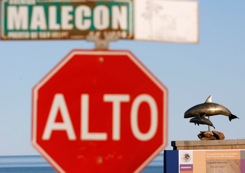 FILE PHOTO: A California Gulf porpoise, also known as a vaquita, monument is seen near San Felipe in Mexico's state of Baja California