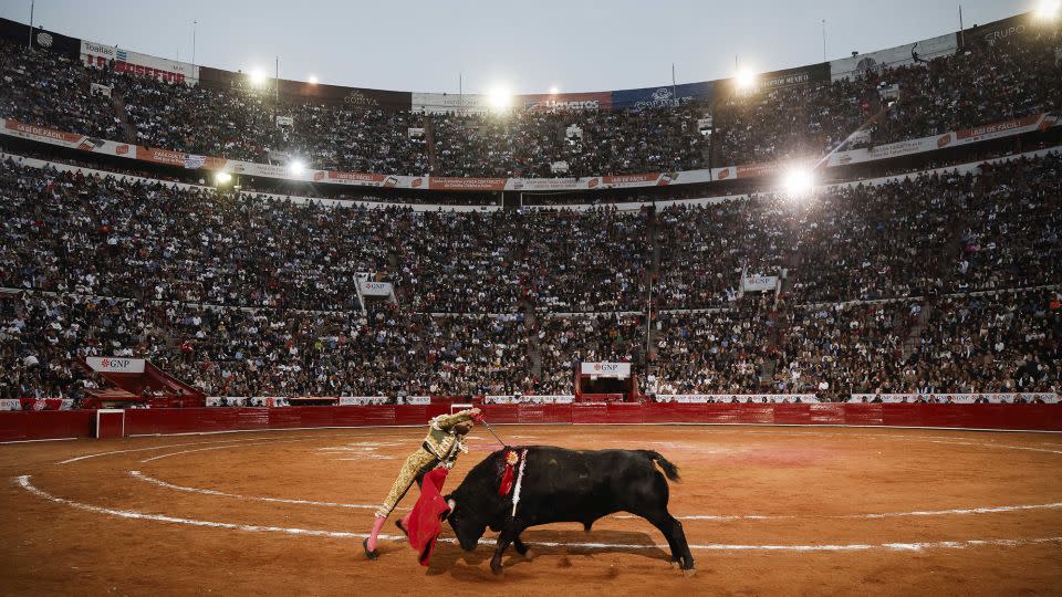 Bullfighter Joselito Adame kills a bull during Sunday's event. - Rodrigo Oropeza/AFP/Getty Images