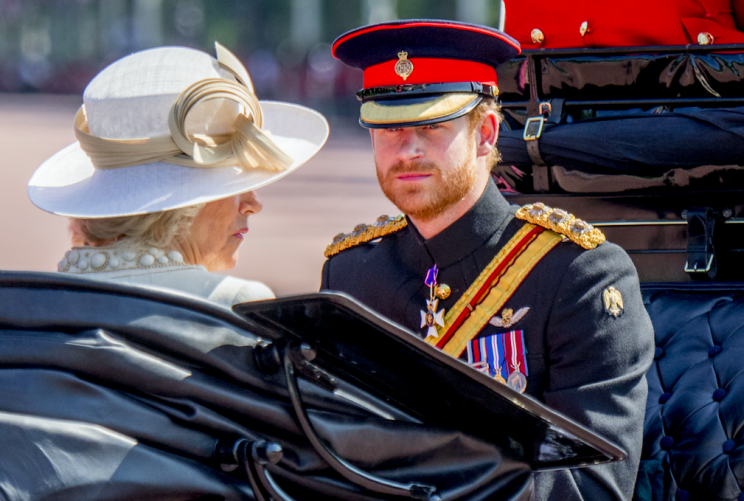 Harry said that whoever becomes the monarch will carry out their duties (Rex)