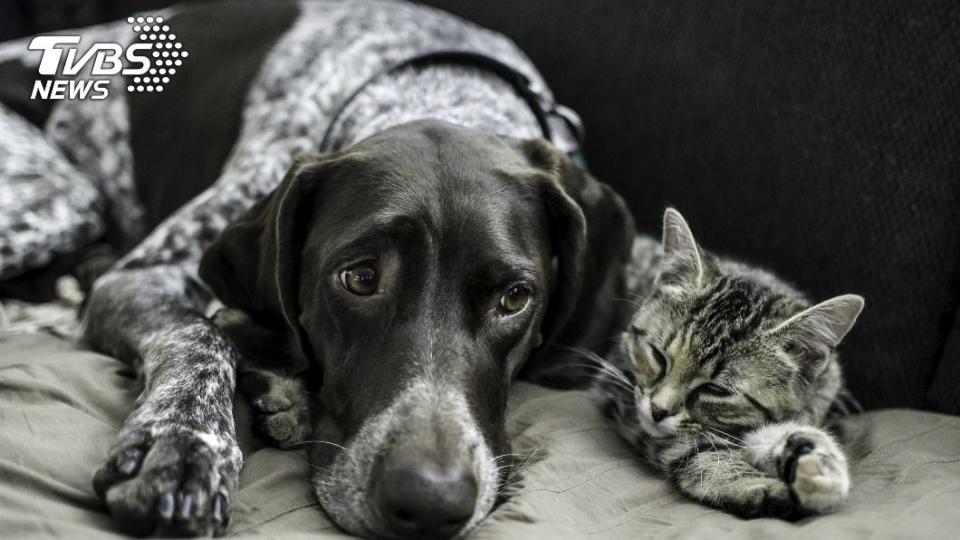 （示意圖／shutterstock達志影像）