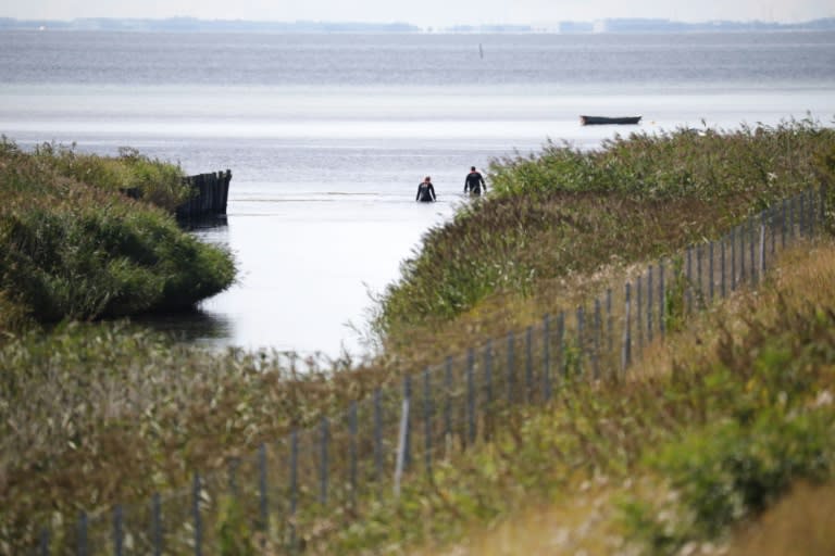 This photo taken on August 23, 2017 shows members of The Danish Emergency Management Agency (DEMA) assisting police at Kalvebod Faelled in Copenhagen in search of missing bodyparts of journalist Kim Wall close to the site where her torso was found