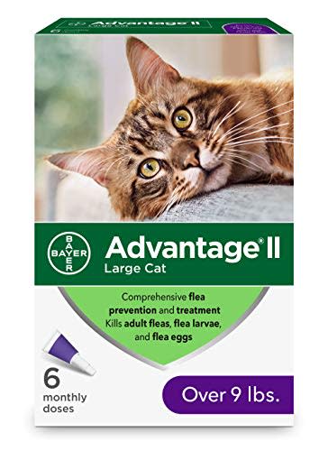 Advantage II 6-Dose Large Cat Flea Prevention (Amazon / Amazon)