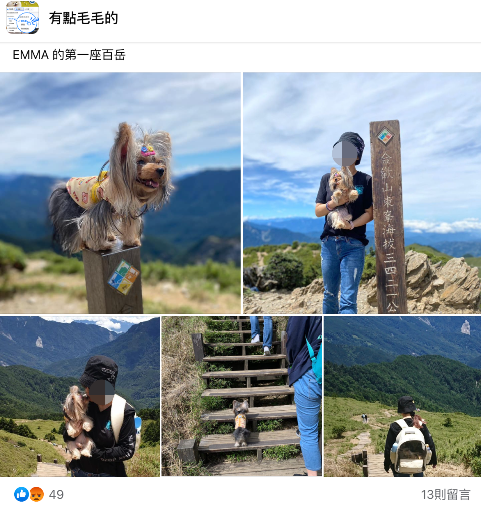 一名飼主帶寵物犬登合歡山，被網友提醒是違法行為趕緊刪文。（翻攝自有點毛毛的臉書）