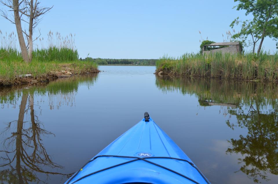 View of the Little Blackwater River, inside the new Harriet Tubman Underground Railroad National Monument in Cambridge, Md. 