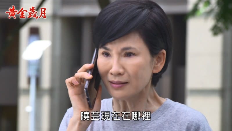 《黃金歲月-EP265精采回顧》神秘女登場　曉芸回來復仇了？野心被看穿　Marco總裁大位無望！