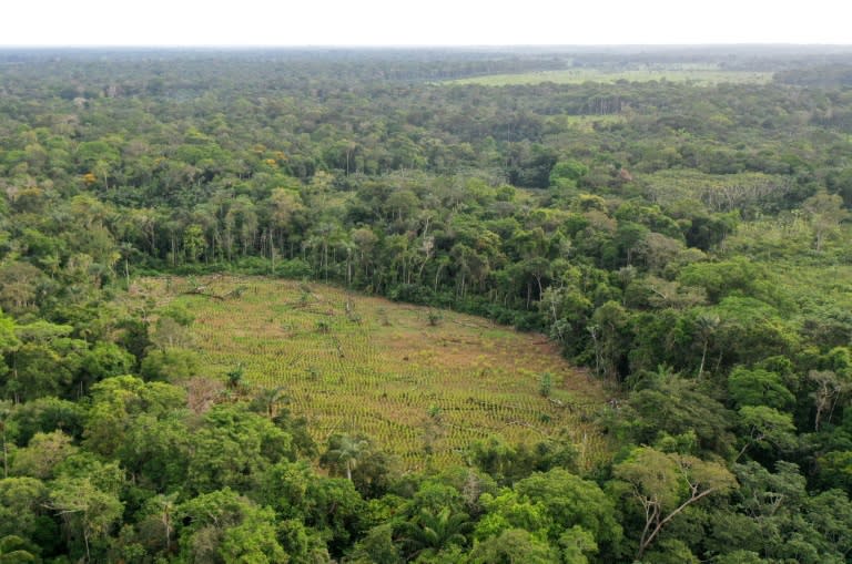 Image aérienne d'une zone déboisée dans la forêt amazonienne, à San José del Guaviare, en Colombie, le 4 novembre 2021 (Raul ARBOLEDA)