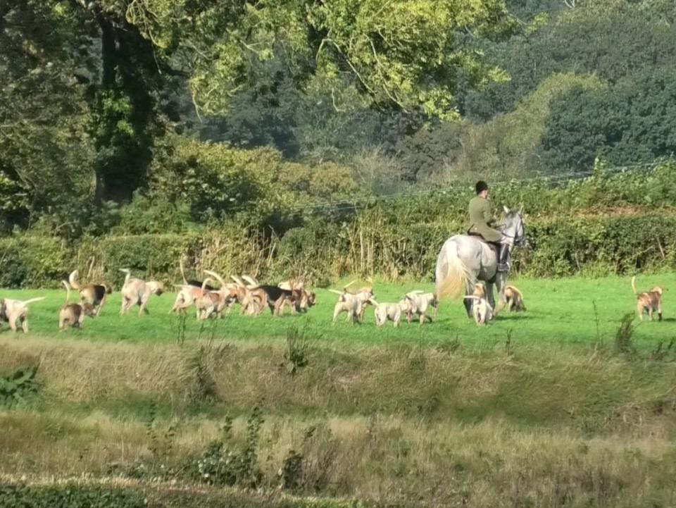 The Blackmore and Sparkford Vale Hunt (North Dorset Hunt Saboteurs)