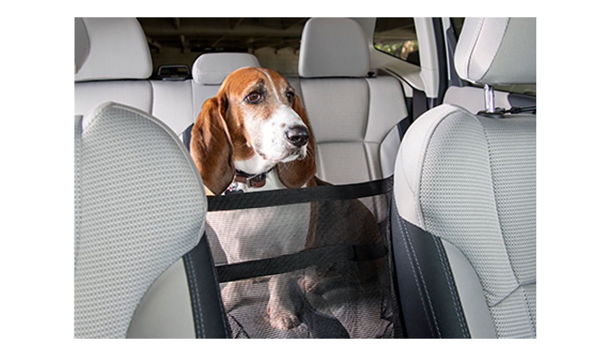 Car Cache keeps dog out of front seat. 