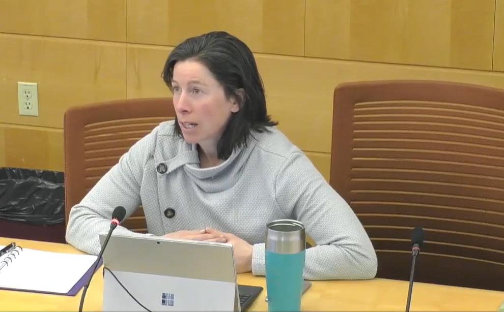 Yellowknife North MLA Shauna Morgan speaks at a committee meeting on Wednesday. She said she's 'alarmed' by updates to the territory's emergency plan and says they don't do much to clarify things for residents.  (NWT Legislative Assembly  - image credit)