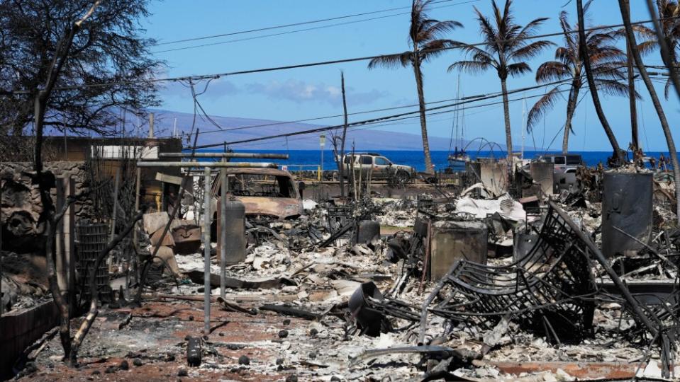 News: Maui Hawaii Fire Aftermath