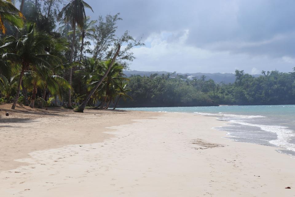 Playa Las Ballenas in Las Terrenas, Dominican Republic