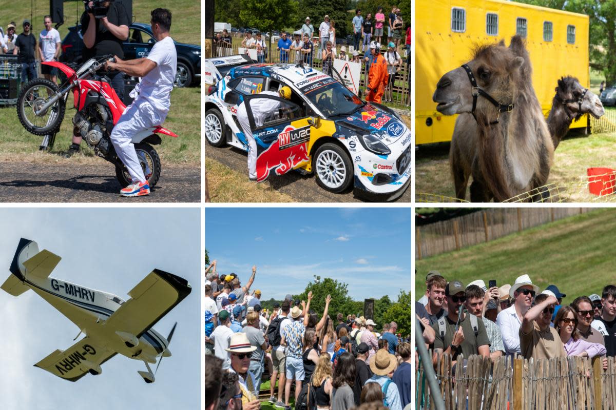 At the weekend, Heveningham Hall threw open its doors for its annual Country Fair and Concours. Image: Tom Horne Photography <i>(Image: Tom Horne Photography)</i>