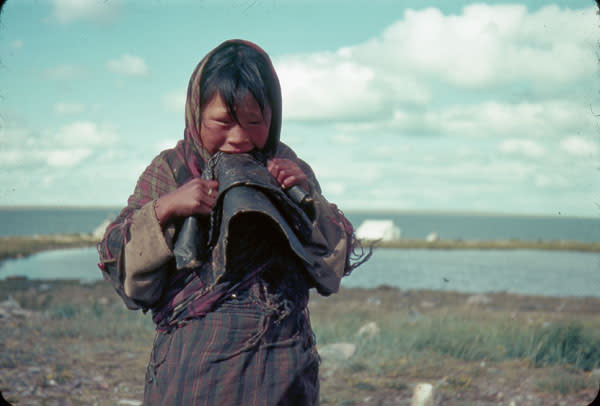 El derrumbe del mercado de piel de foca agudizó la precariedad de las comunidades Inuit (D. B. Marsh. Library and Archives Canada)