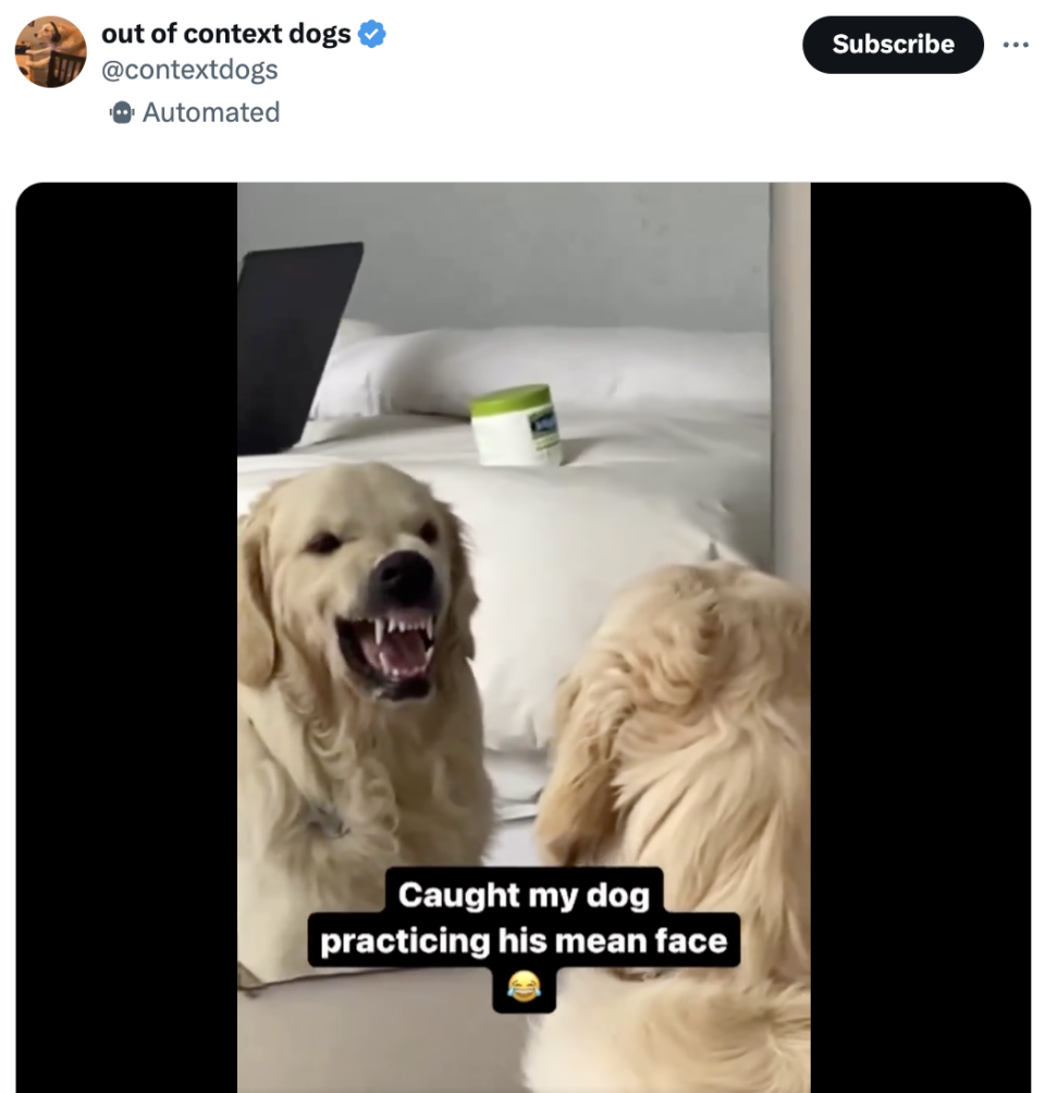 Screenshot of a tweet with a dog baring its teeth