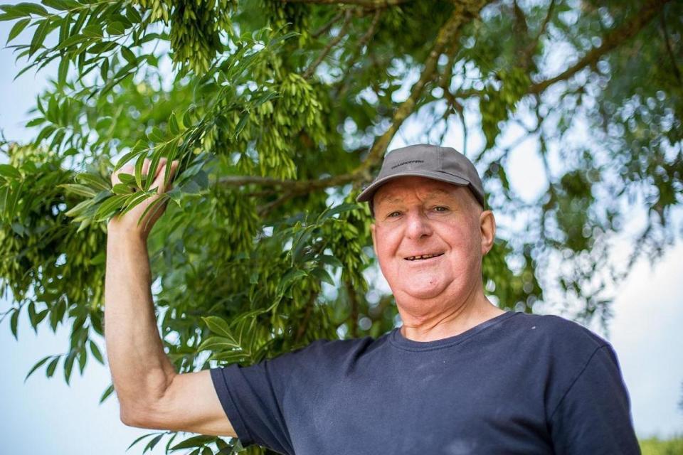 Weather guru: David King has been practicing his traditional methods of divining the weather for 40 years (David King)