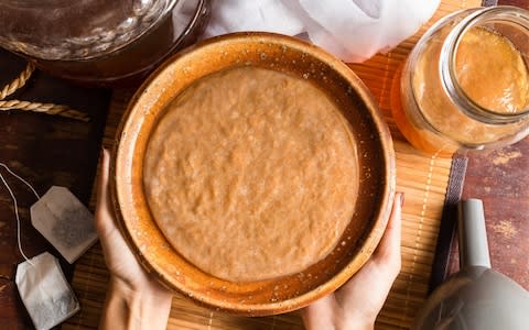 Scoby with Kombucha tea popular fermented healthy drink natural high probiotics - Credit: Kidsada Manchinda/&nbsp;Moment RF