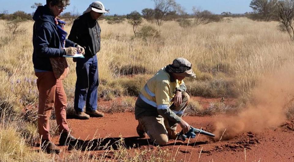 Researchers using an air blower to better expose the termite structures under the ‘fairy circles.’