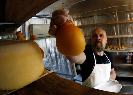 Alexey Dubovets adjusts smoked Scamorza cheese at a storehouse of his family dairy and cheese farm in the Siberian village of Sizaya, south of Krasnoyarsk, Russia August 8, 2018. REUTERS/Ilya Naymushin