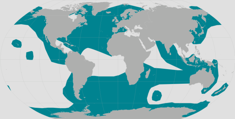 Range of orcas, commonly known as killer whales, around the world.