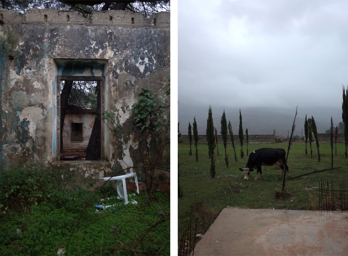 Tepelena camp: two plaques have been put up and a grove of cypress trees was planted in memory of the children who died there, but the site has fallen into disrepair (Eleanor Myers)