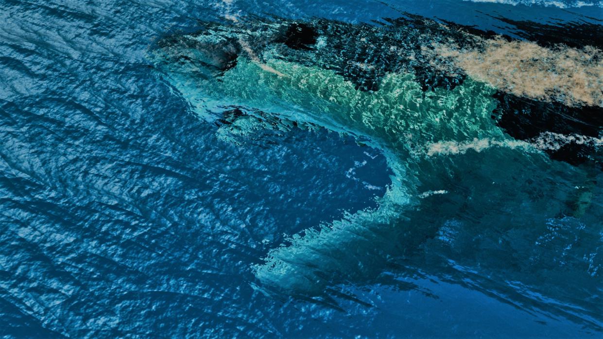  an illustration of a megalodon just beneath the surface of th water looking up with its mouth open 