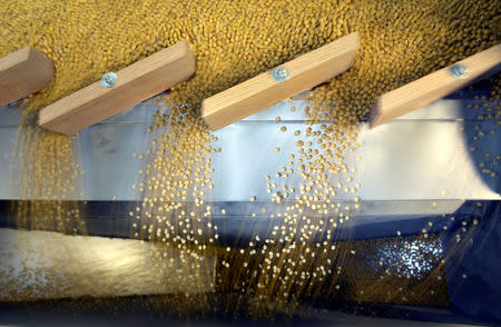 Soybeans being sorted according to their weight and density on a gravity sorter machine at Peterson Farms Seed facility in Fargo, North Dakota, U.S., December 6, 2017. Photo taken December 6, 2017. REUTERS/Dan Koeck