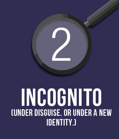 2. Incognito. (Under disguise. Or under a new identity.)